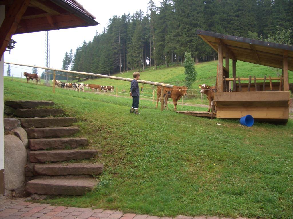 Apartament Willmannshof Furtwangen im Schwarzwald Zewnętrze zdjęcie