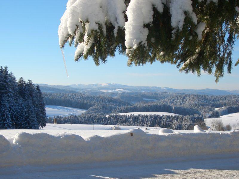 Apartament Willmannshof Furtwangen im Schwarzwald Zewnętrze zdjęcie