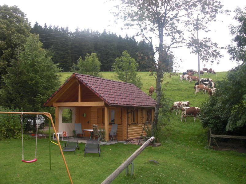 Apartament Willmannshof Furtwangen im Schwarzwald Zewnętrze zdjęcie