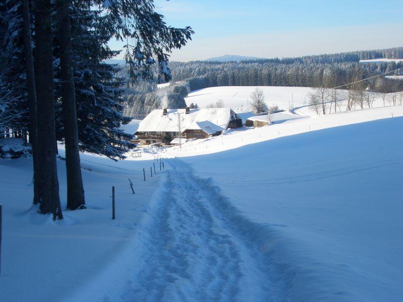 Apartament Willmannshof Furtwangen im Schwarzwald Zewnętrze zdjęcie